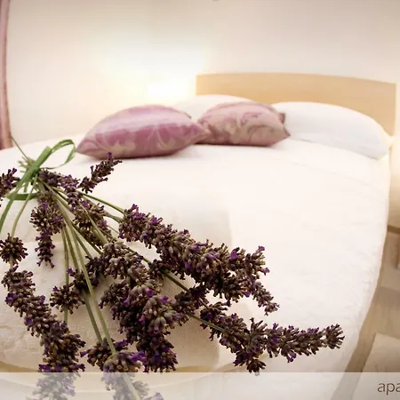 Apartmán Murtilica Trogir